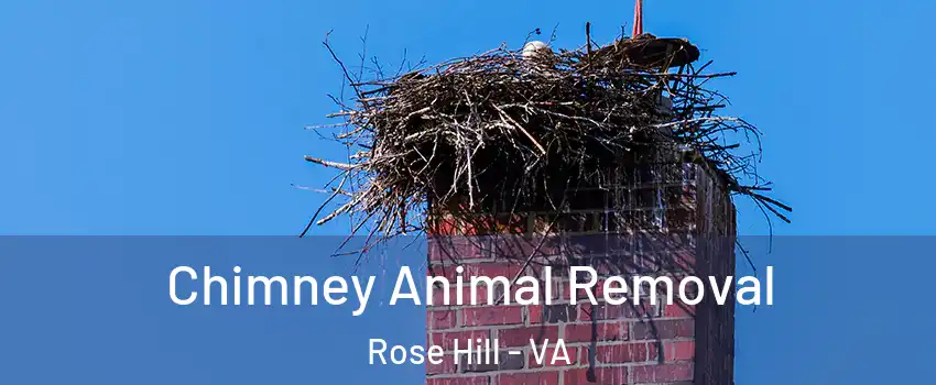  Chimney Animal Removal Rose Hill - VA
