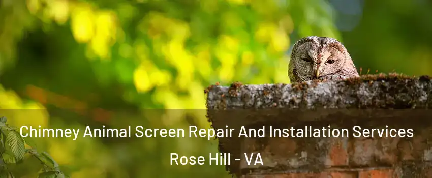  Chimney Animal Screen Repair And Installation Services Rose Hill - VA