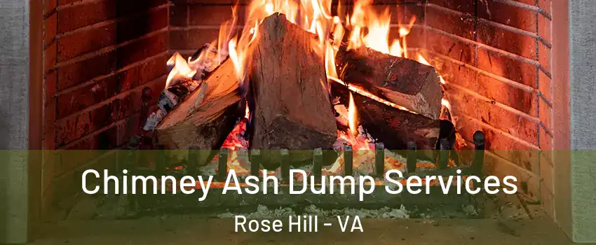  Chimney Ash Dump Services Rose Hill - VA