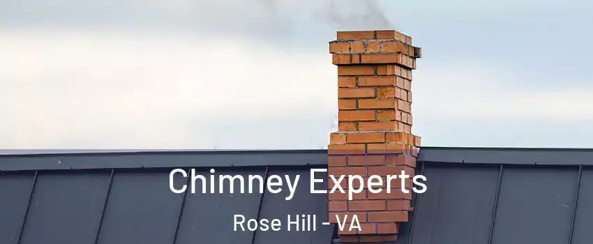 Chimney Experts Rose Hill - VA