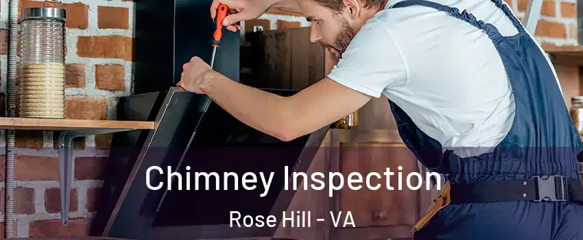  Chimney Inspection Rose Hill - VA