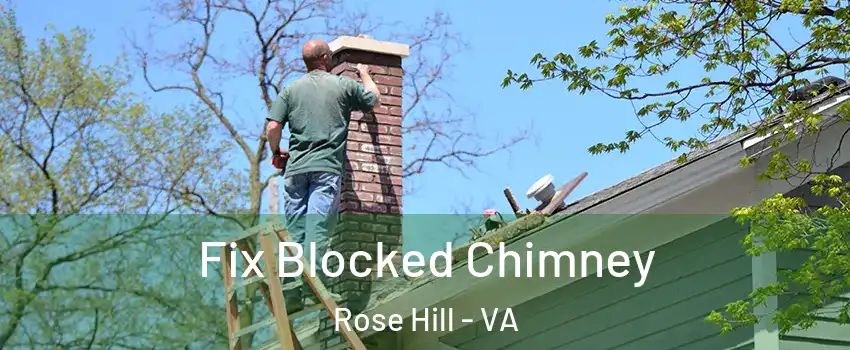  Fix Blocked Chimney Rose Hill - VA