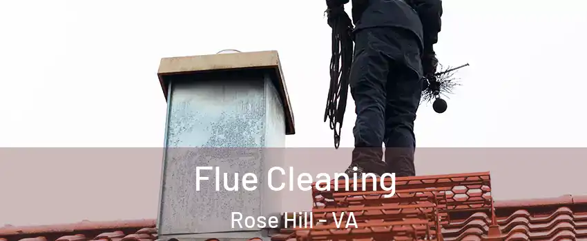  Flue Cleaning Rose Hill - VA