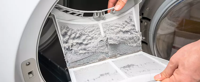 Best Dryer Lint Removal Company in Rose Hill, Virginia