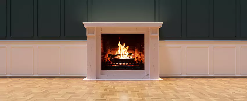 Napoleon Electric Fireplaces Inspection Service in Rose Hill, Virginia