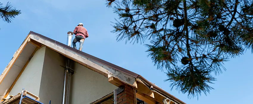 Birds Removal Contractors from Chimney in Rose Hill, VA