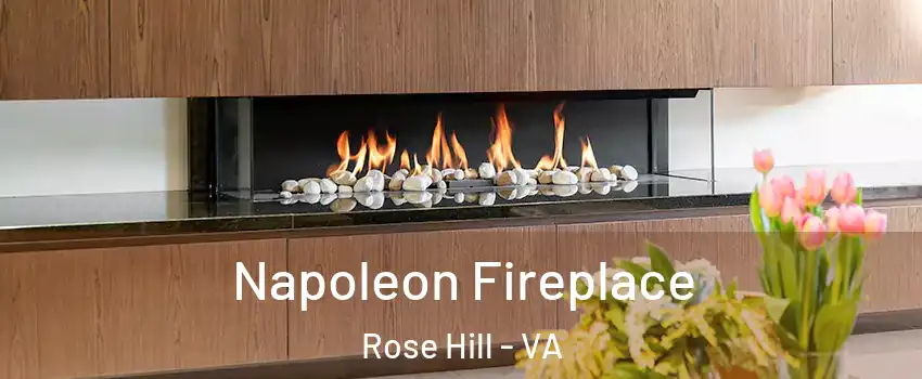  Napoleon Fireplace Rose Hill - VA